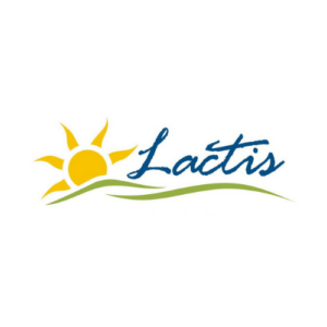 lactis